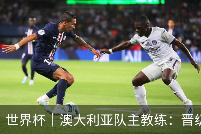 世界杯｜澳大利亚队主教练：晋级淘汰赛是我们应得的